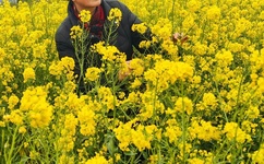 羞羞漫画在线版免费阅读网页入口